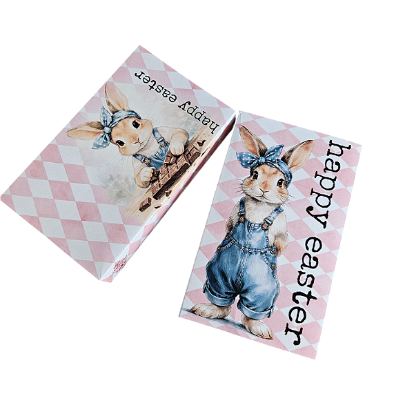 10un. Caixa 01 Barra Chocolate 250g ou 260g - Coelha Ana