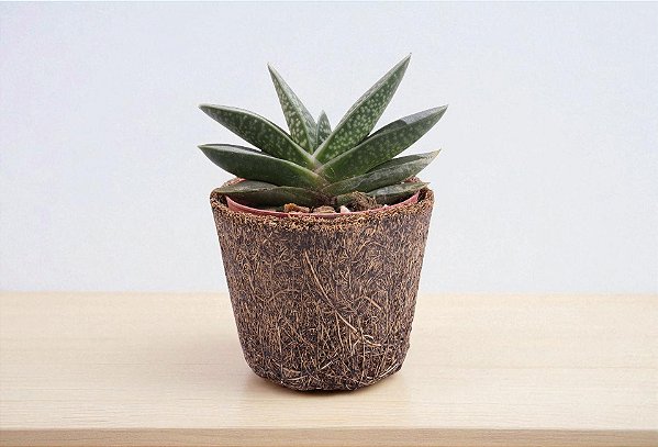 Vaso Fibra de Coco nº03 6,5x5,5 cm - Coquim