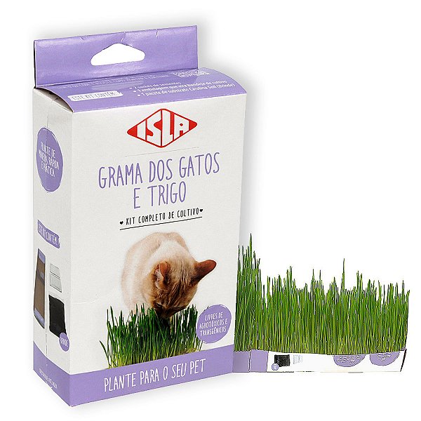 Kit Completo Grama dos Gatos e Trigo Isla