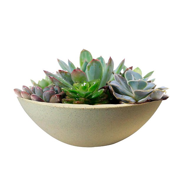 Vaso Bacia P Areia - 34x11cm - Vasap Design