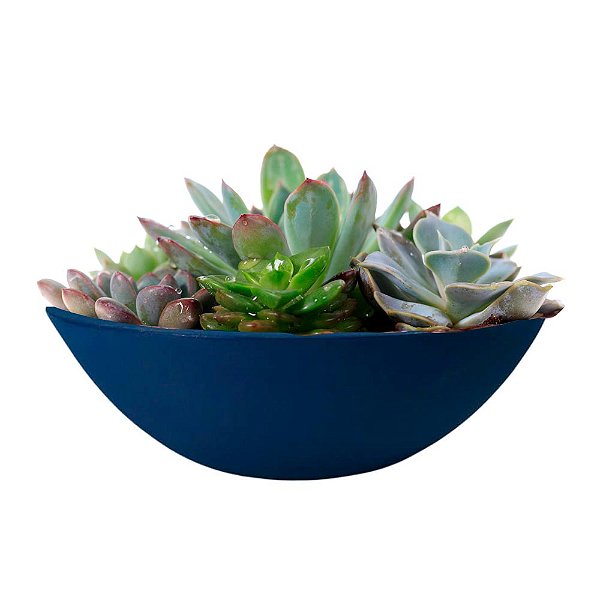 Vaso Bacia P Azul Macaúba - 34x11cm - Vasap Design