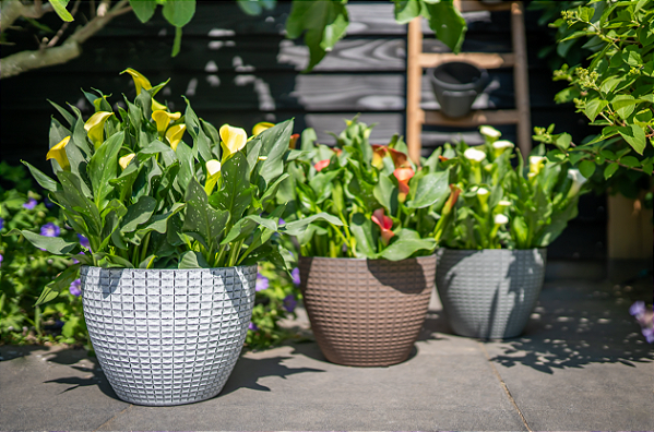 Vaso Nanda Concreto 22x17cm - Plástico Pedra Artificial TS Brasil