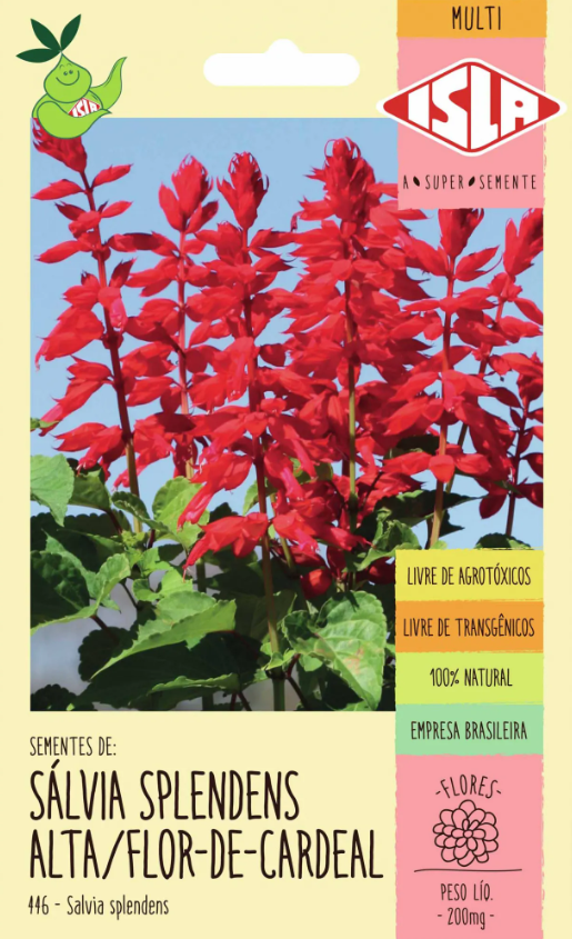 Sementes de Sálvia Splendens Alta/Flor-de-Cardeal - 200mg - Isla
