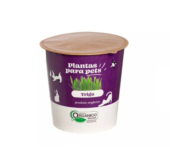 Plantas Para Pets Trigo Orgânico - Graminha Pet