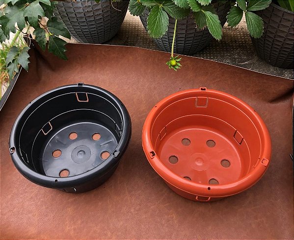 Vaso de Plástico para Orquídeas N 19 - Cores e Kits
