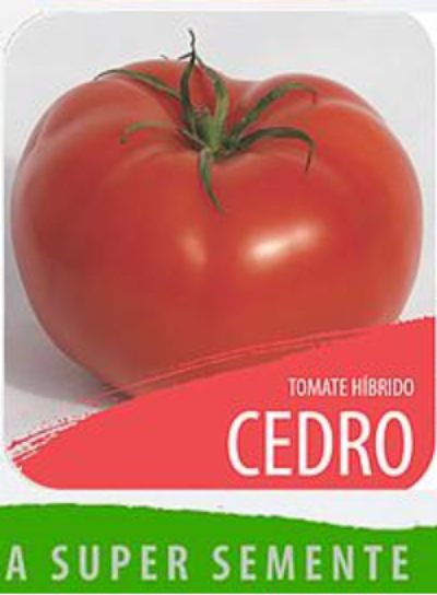 Sementes de Tomate Hibrido Cedro 40mg - Isla Super