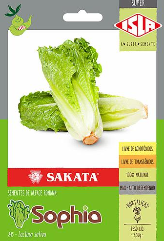 Sementes de Alface Romana Sophia Sakata - Isla Super