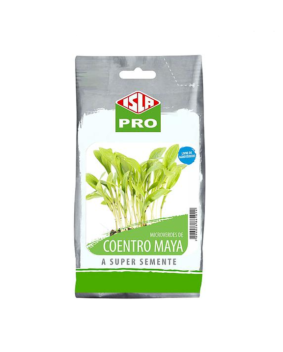 Sementes de Microverdes de Coentro Maya 100g - Isla PRO