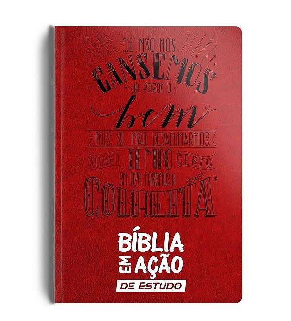 Livro Bíblia em ação de estudo - Versão mensagem - Luxo v...
