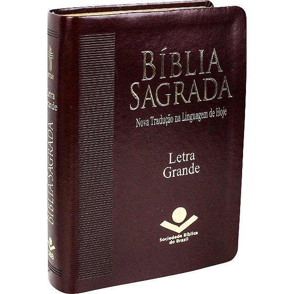 Livro Bíblia Sagrada Ntlh Letra Grande: Nova Tradução Na ...