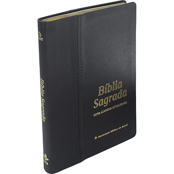 Livro Bíblia Sagrada Naa Slim - Capa Em Couro Legítimo: Nova Al...