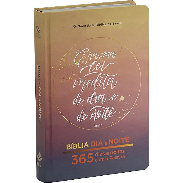 Livro Bíblia Dia E Noite Naa - 365 Dias E Noites Com A Palavra ...