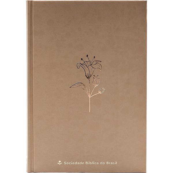 Livro Bíblia Ntlh, Mocha Mousse, Capa Dura: Nova Tradução Na Li...