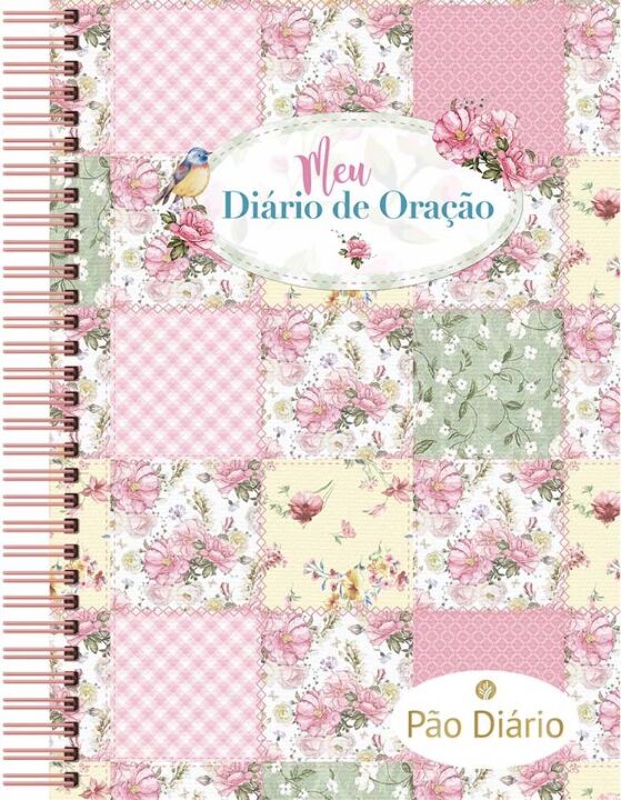 Livro Meu Diário de oração: 365 meditações para se aproxi...