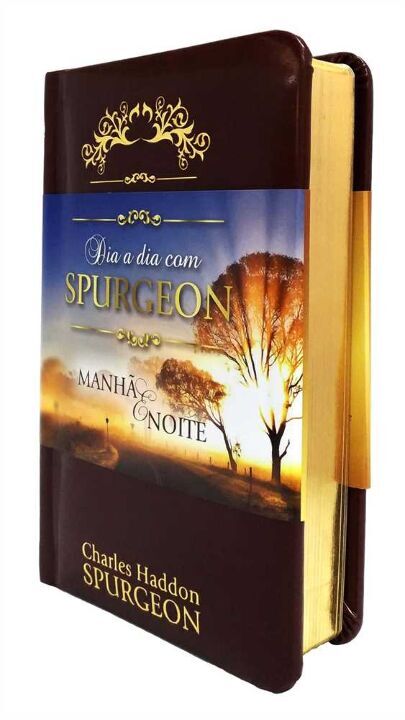 Livro dia a dia com Spurgeon - Luxo: meditações diárias d...