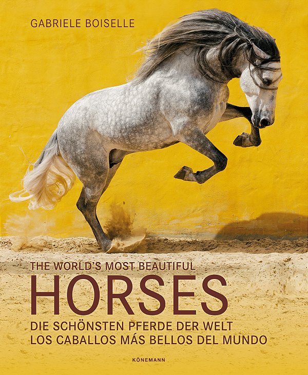 Livro Horses