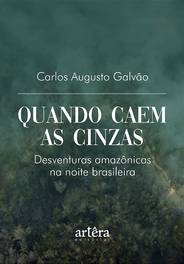 Livro Quando caem as cinzas: Desventuras amazônicas na noite br...