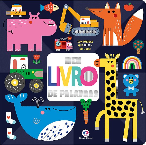 Livro Meu Livro De Palavras