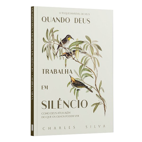 Livro Quando Deus Trabalha Em Silêncio - Como Deus Atua Além Do...