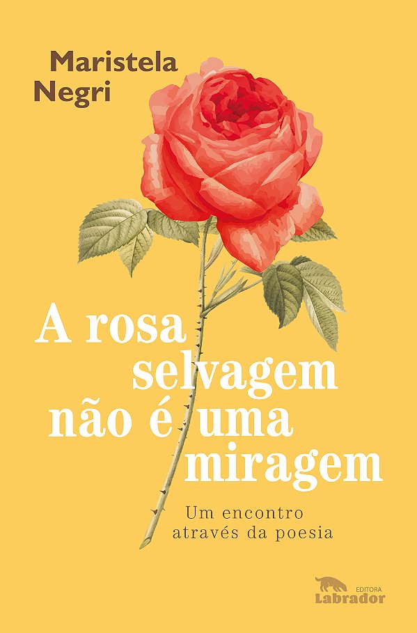 Livro A rosa selvagem não é uma miragem: Um encontro atra...