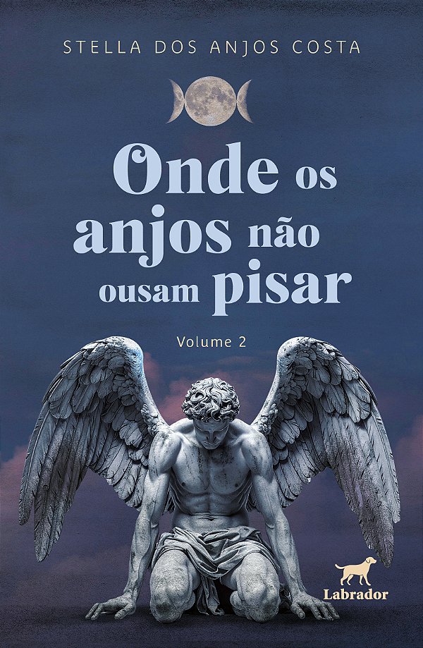 Livro Onde Os Anjos Não Ousam Pisar (Volume 2)
