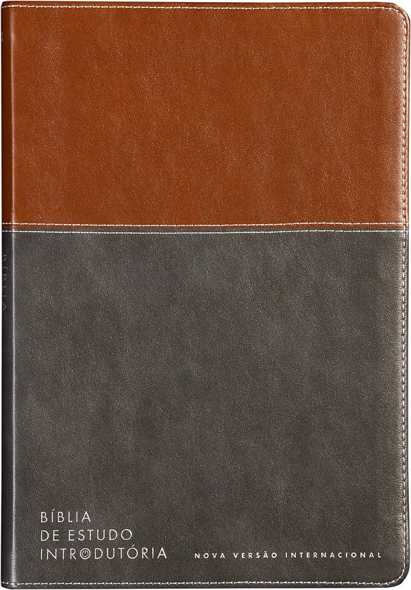 Livro Bíblia De Estudo Introdutória, Nvi, Couro-Soft Marrom E C...