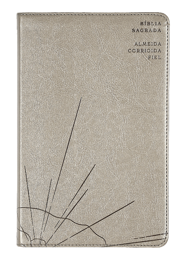 Livro Bíblia Sagrada Slim Acf - Luxo - Cinza