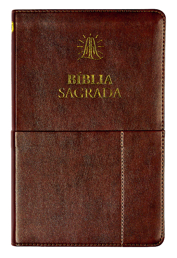Livro Bíblia Sagrada Slim Acf - Marrom, Com Bolso