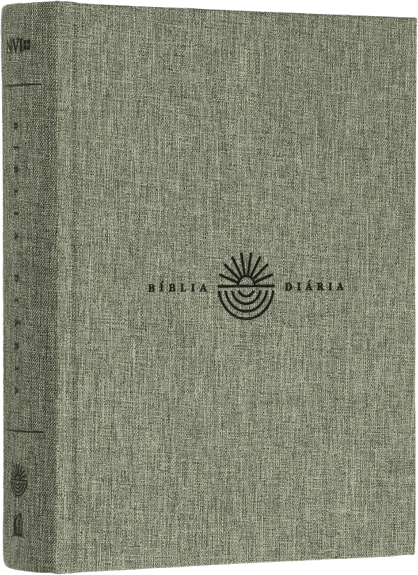 Livro Bíblia Diária, Nvi, Tecido Sobre Capa Dura, Cinza, Leitur...