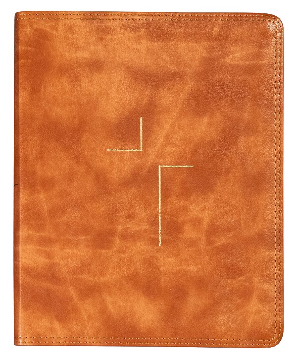 Livro Jesus Bible Nvi Com Espaço Para Anotações, Capa Luxo Marr...