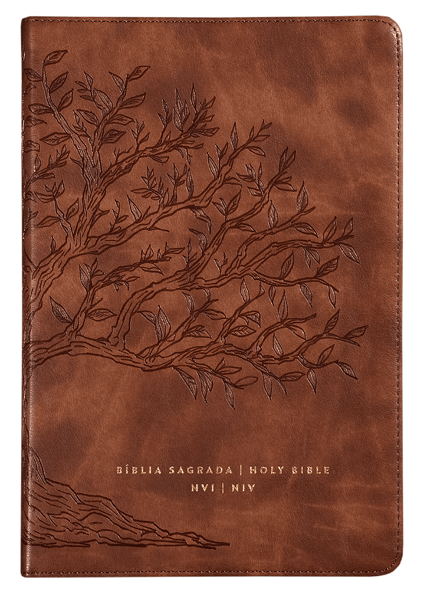 Livro Bíblia Bilíngue Nvi/Niv, Português/Inglês, Couro-Soft, Ca...