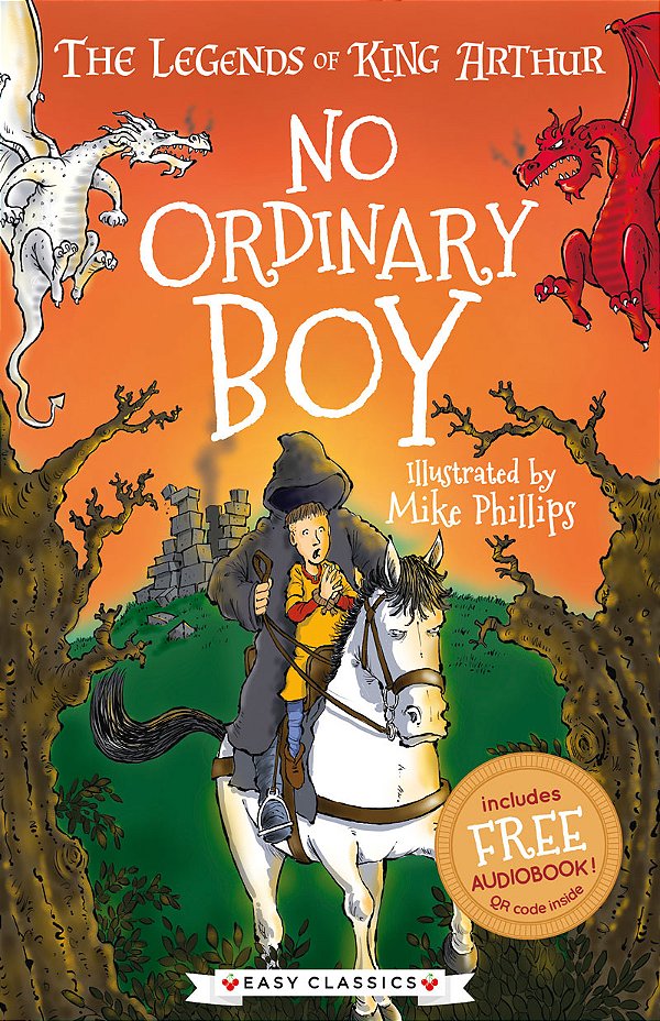 Livro No Ordinary Boy