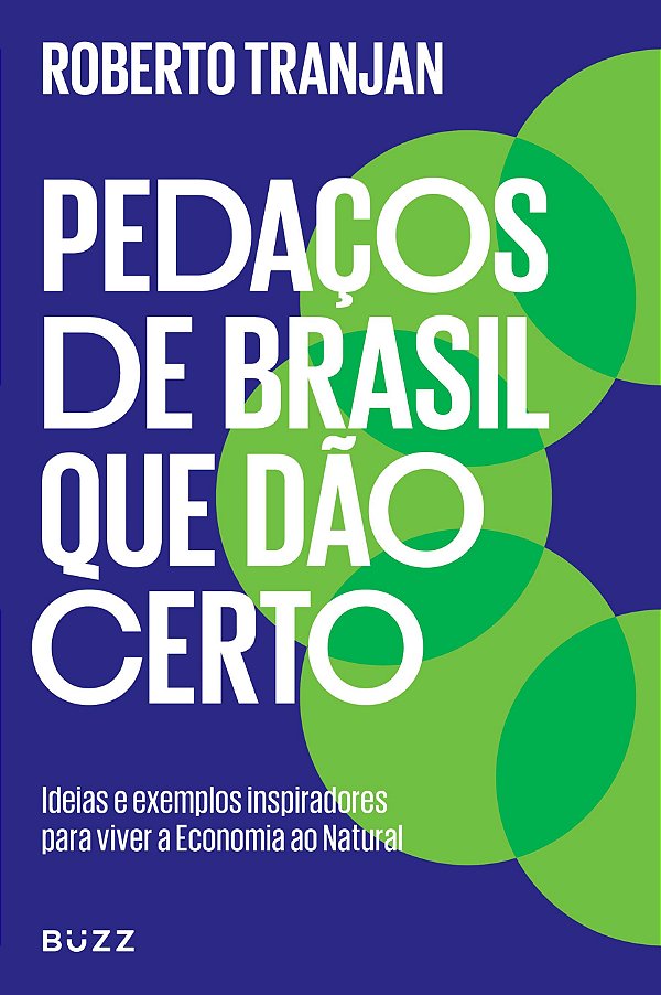 Livro Pedaços de Brasil que dão certo: ideias e exemplos ...