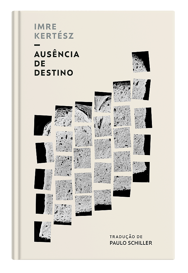 Livro Ausência De Destino