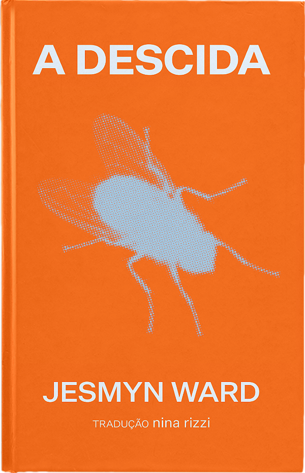 Livro A descida: Um romance