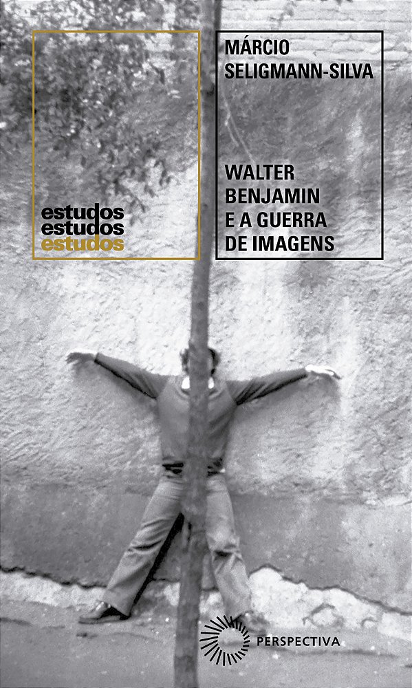 Livro Walter Benjamin e a Guerra de Imagens