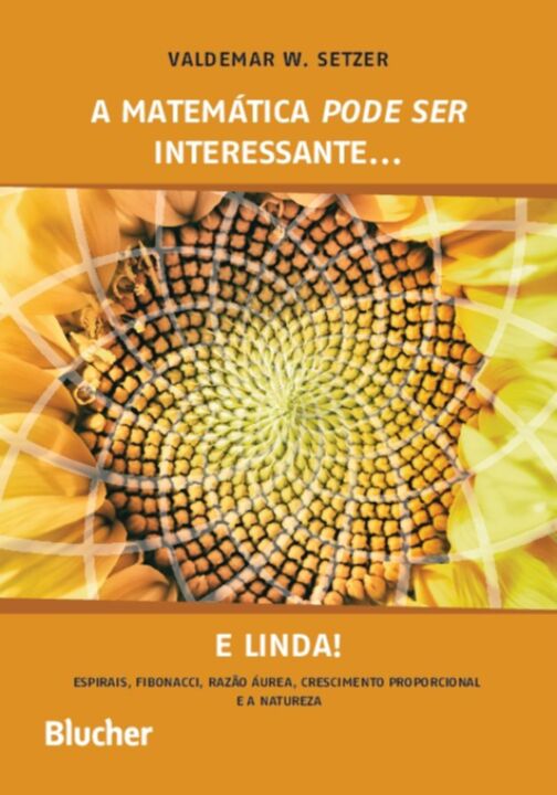 Livro A matemática pode ser interessante... e linda!: esp...
