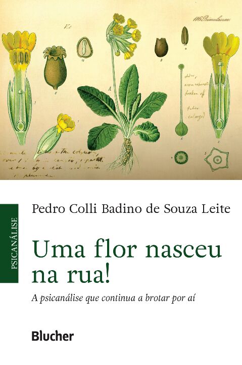 Livro Uma flor nasceu na rua!: a psicanálise que continua...