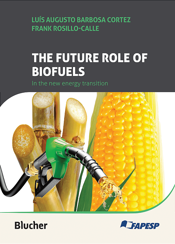 Livro The future role of biofuels in the new energy trans...