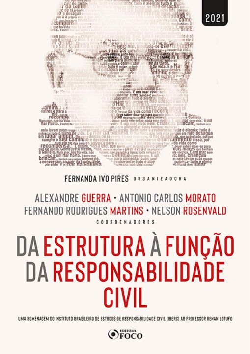 Da Estrutura à Função da Responsabilidade Civil