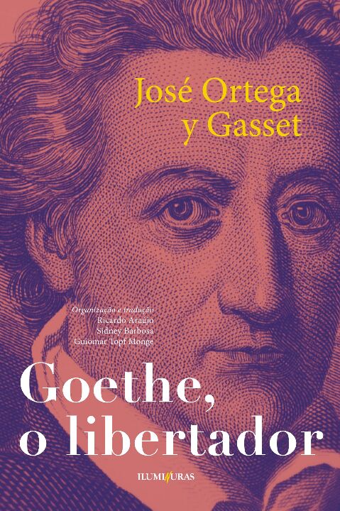 Livro Goethe o libertador: e outros ensaios