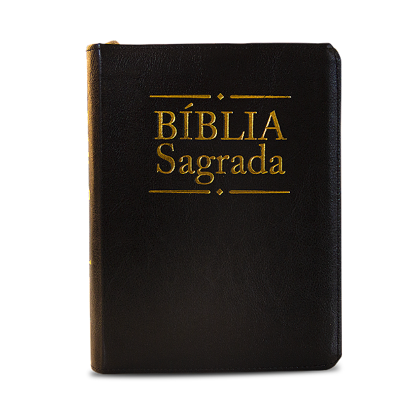 Livro Biblia sagrada dourada preta
