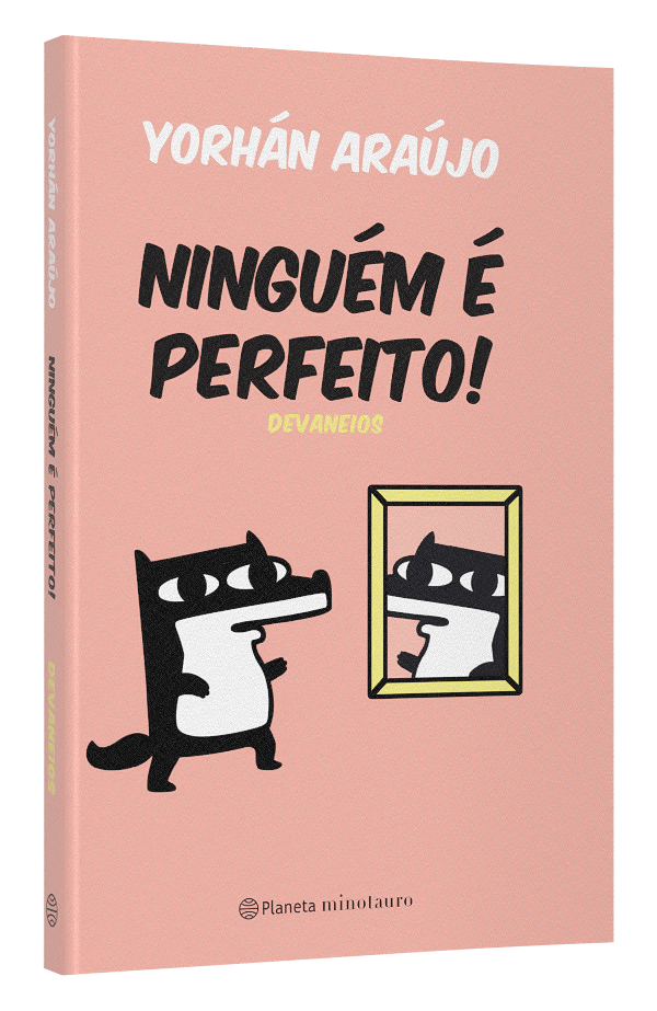 Livro Ninguém é perfeito: Devaneios