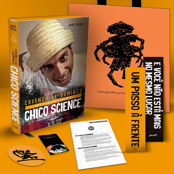 Livro Criança De Domingo - A Biografia De Chico Science -...