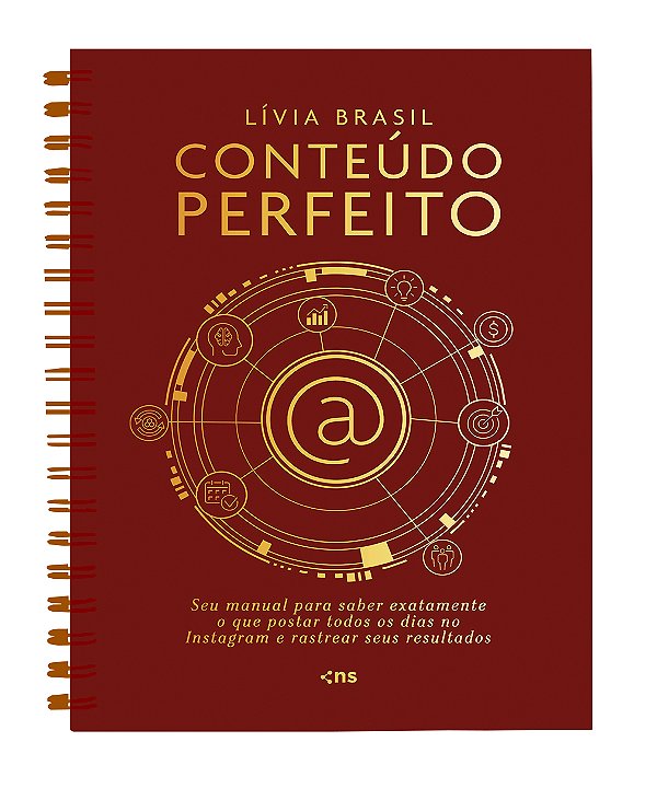 Livro CONTEÚDO PERFEITO - Seu manual para saber exatamente o qu...