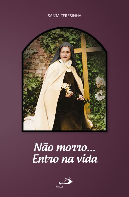 Livro Não morro...