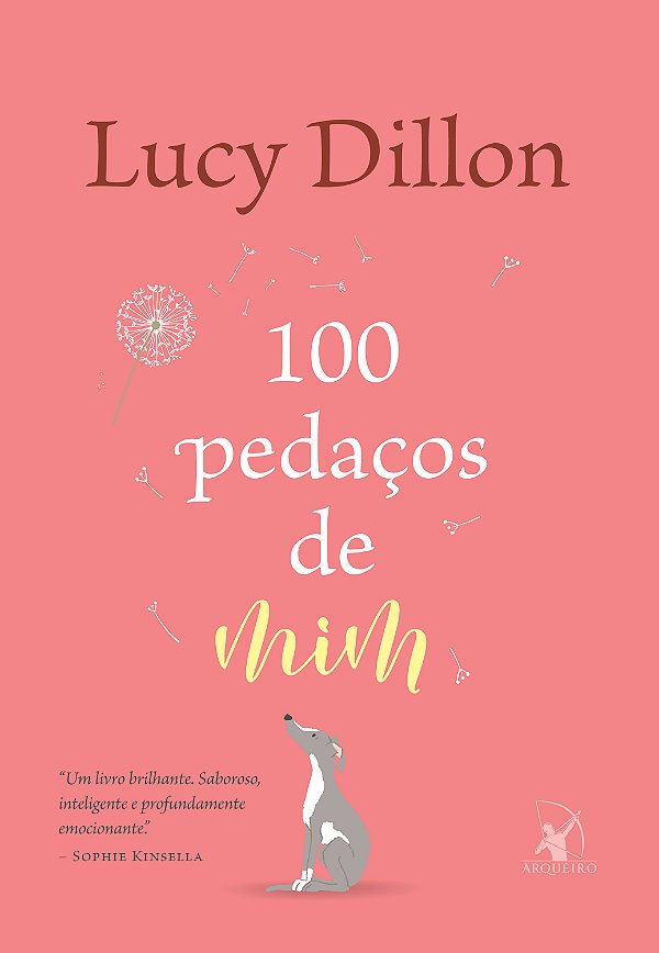 Livro 100 pedaços de mim