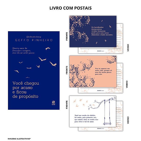 Livro Você Chegou Por Acaso E Ficou De Propósito - + Brin...