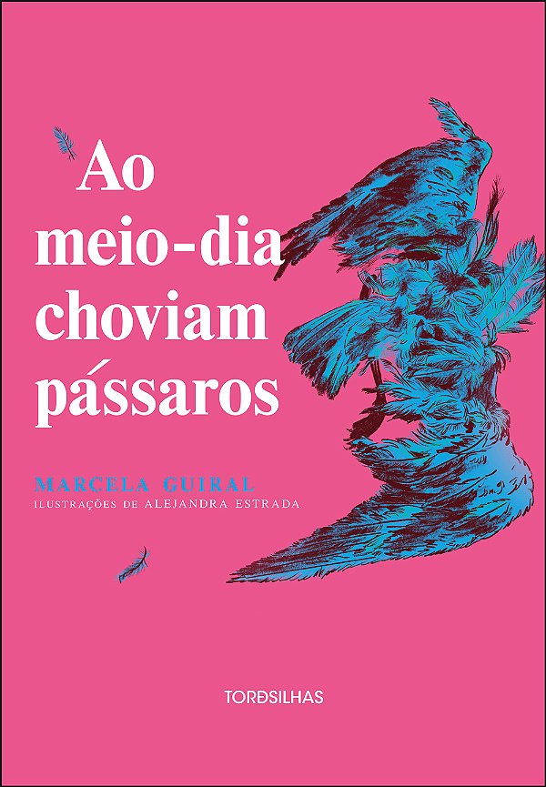 Livro Ao meio-dia choviam pássaros