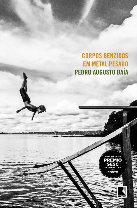 Livro Corpos benzidos em metal pesado